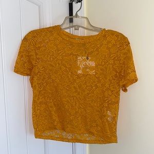 Zara lace crop top